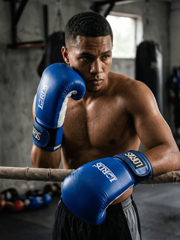 Boxing Gloves