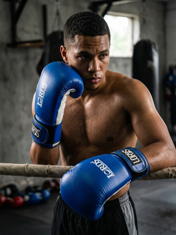 Boxing Gloves